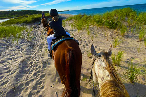 horseback riding on Long Island