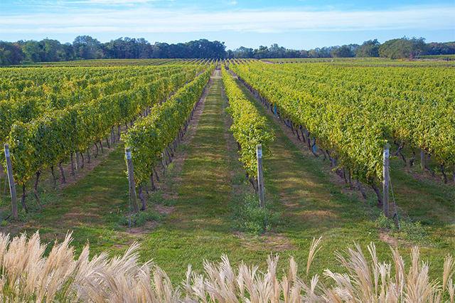 north fork vs south york tours